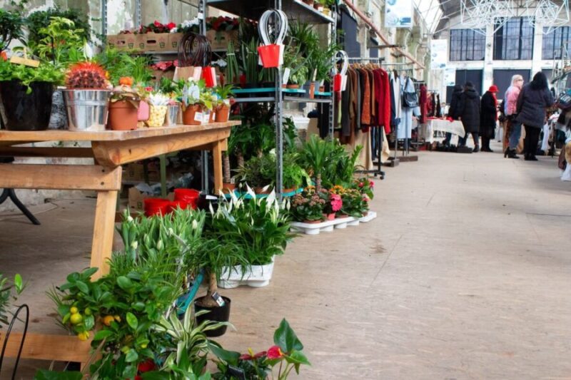 A long shot of an outdoor estate sale.