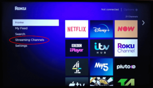 roku-device-streaming-channels roku device streaming channels