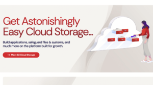 Backblaze-lead Backblaze lead