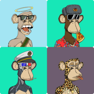 bored-apes bored apes