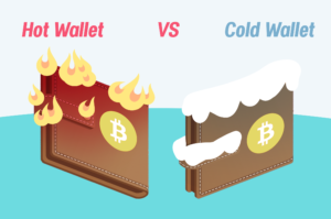 Hot-vs-Cold-wallets hot wallet cold wallet