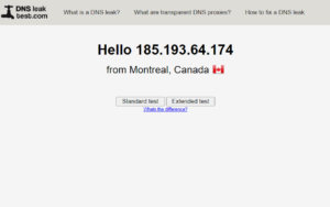 DNS-leak-test