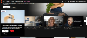 arte-watch arte watch